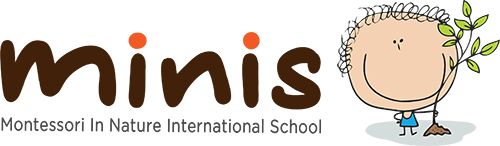 MINIS International Preschool